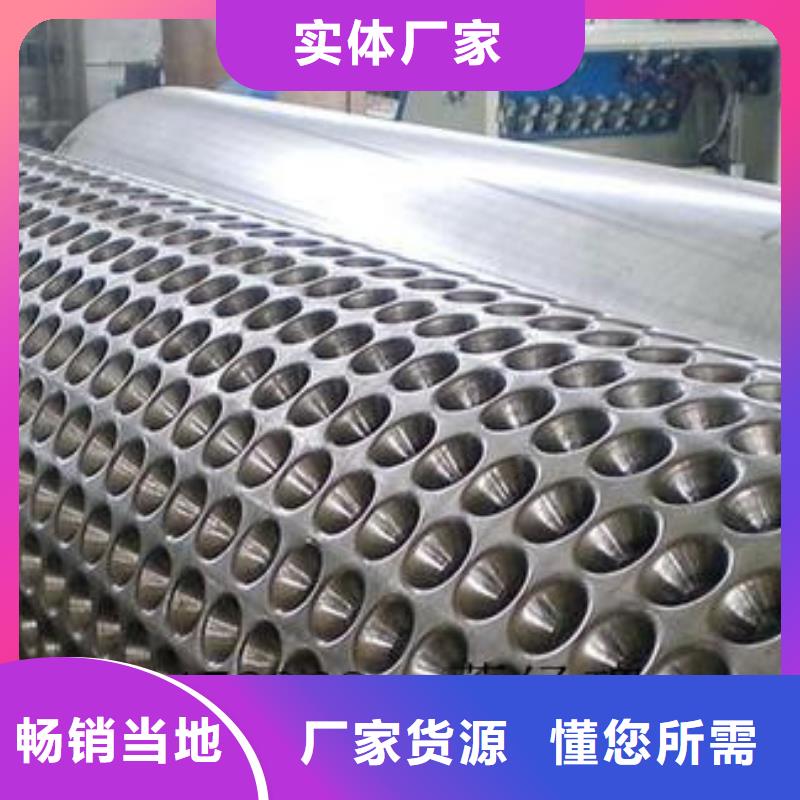 蓄排水板玻纤土工格栅产地厂家直销
