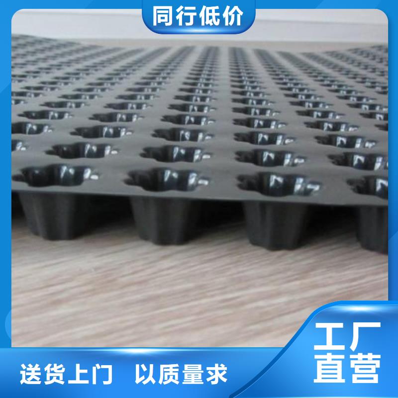 蓄排水板玻纤土工格栅产地厂家直销