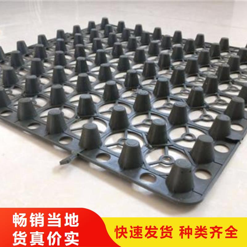 蓄排水板玻纤土工格栅产地厂家直销