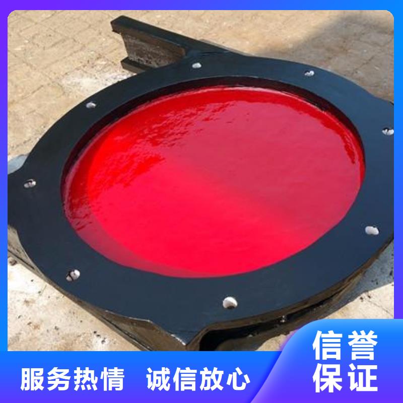 启闭机闸门-闸门启闭器技术领先