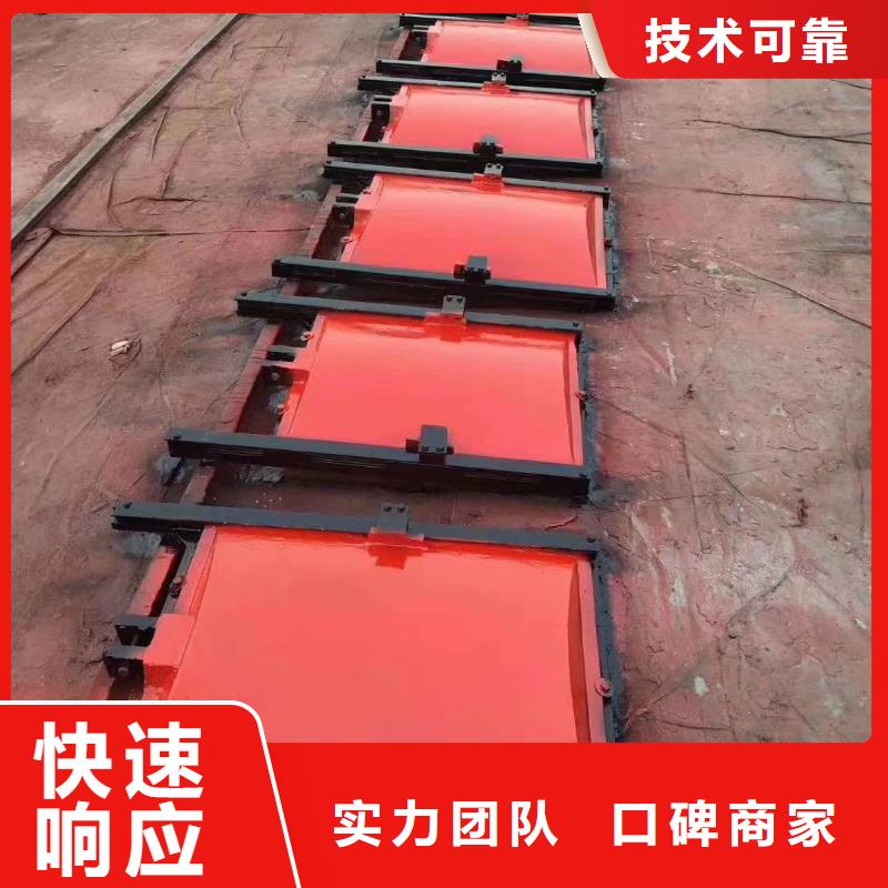 启闭机闸门-闸门启闭器技术领先
