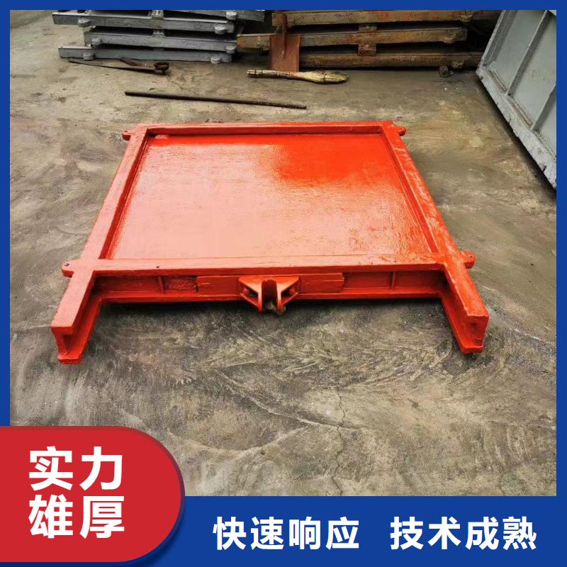 启闭机闸门-闸门启闭器技术领先