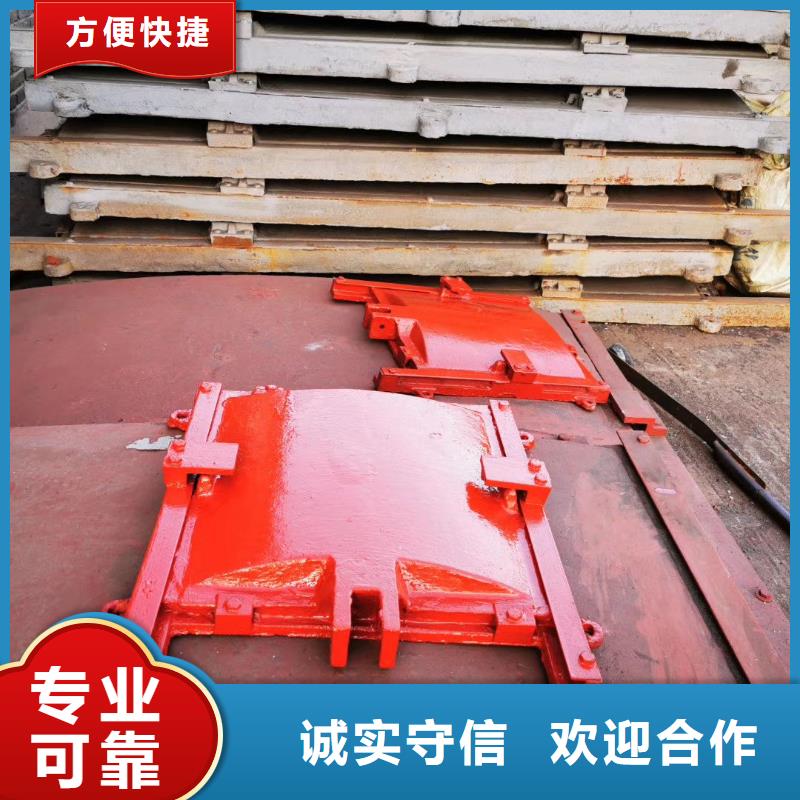 启闭机闸门-闸门启闭器技术领先