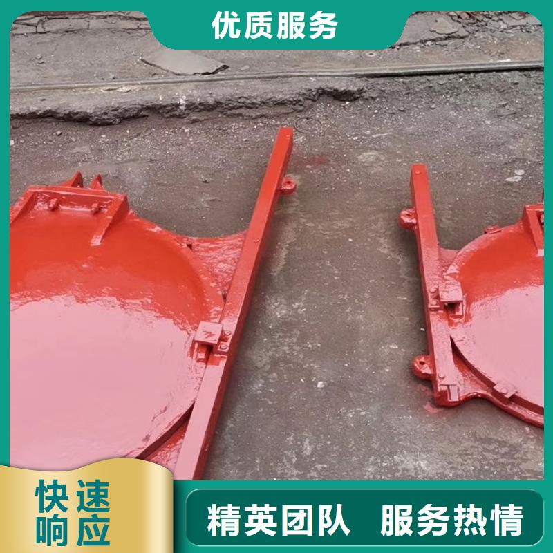 启闭机闸门-闸门启闭器技术领先