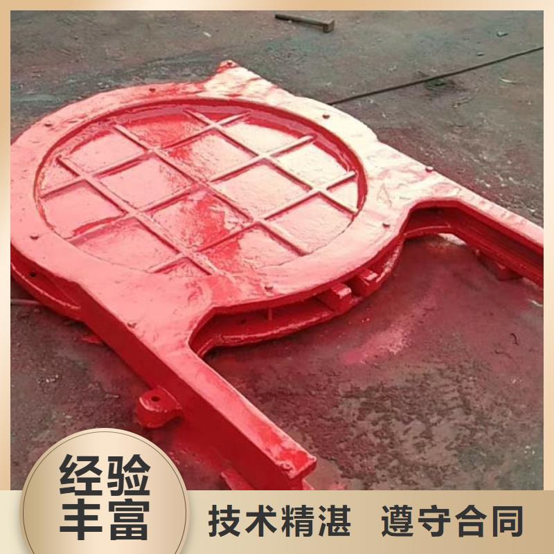 启闭机闸门-闸门启闭器技术领先