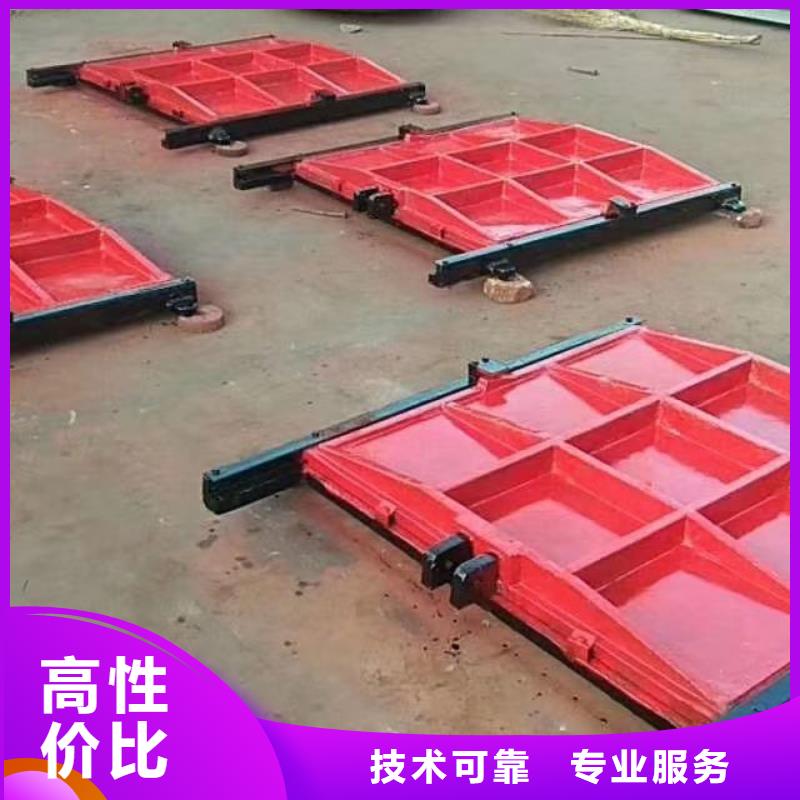 启闭机闸门-闸门启闭器技术领先