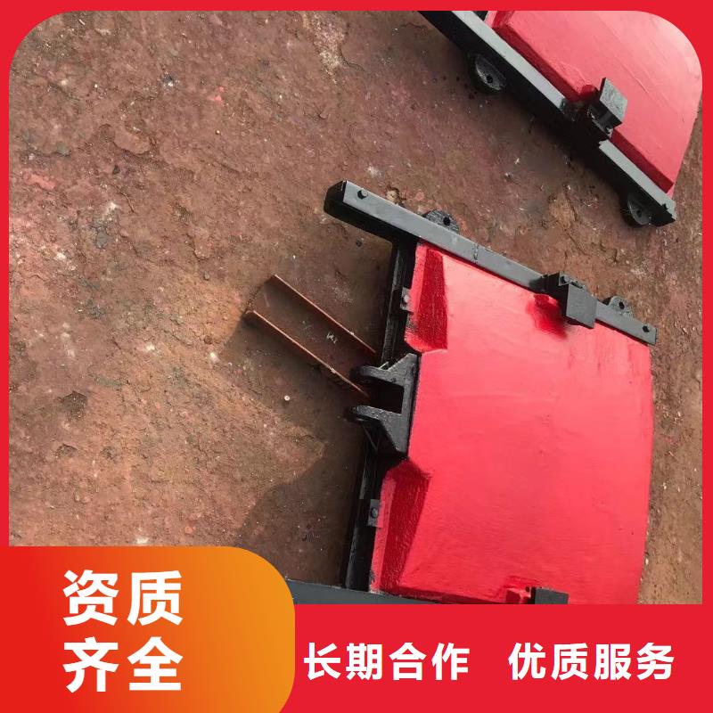 启闭机闸门-闸门启闭器技术领先