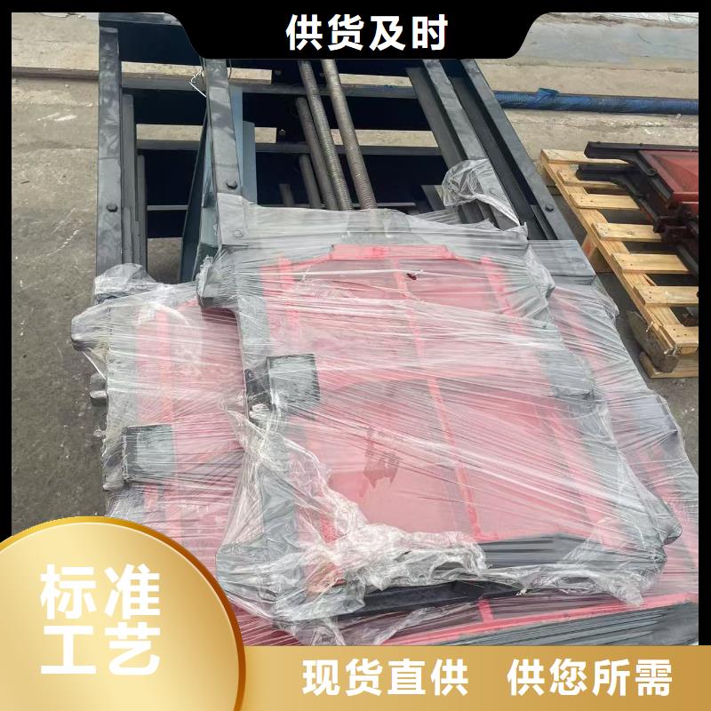 启闭机闸门-闸门启闭器技术领先