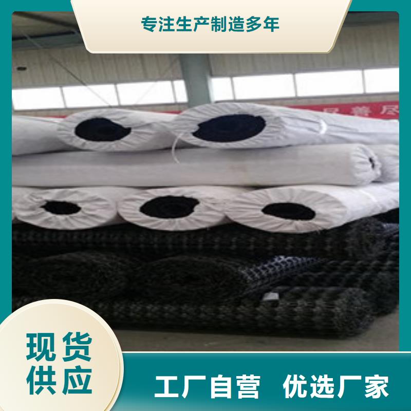双向塑料格栅-三维植被网出厂价